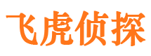 解放侦探公司